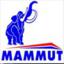 شرکت ماموت mammut